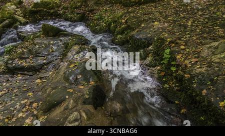 Un flusso limpido scorre su terreni rocciosi, circondato da foglie autunnali colorate. L'acqua bolle dolcemente tra le rocce della foresta, creando una pace Foto Stock