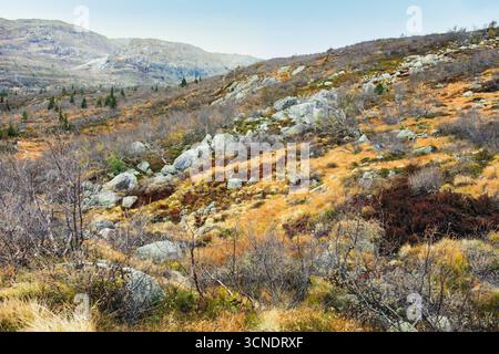 Ampio paesaggio montano a Telemark, caratterizzato da terreno roccioso, vivace fogliame autunnale e colline lontane, che mostrano la bellezza naturale e la serenità Foto Stock