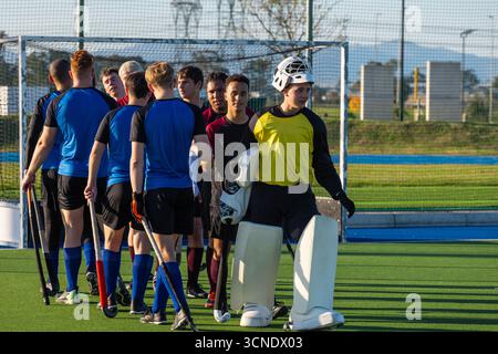 Squadre maschili di hockey su prato che stringono la mano dopo la partita sul tappeto erboso davanti alla rete porta Foto Stock