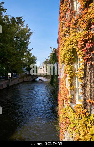 Colori autunnali dal ponte Peerdenstraat Bruges verticale. Tour panoramico dei canali turistici sul canale Groenerei in autunno. Bruges, Belgio. Foto Stock