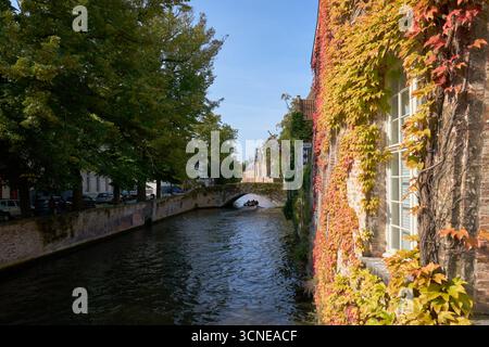 Colori autunnali dal ponte Peerdenstraat di Bruges. Tour panoramico dei canali turistici sul canale Groenerei in autunno. Bruges, Belgio. Foto Stock