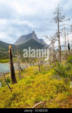 Il Saint Mary Falls Trail viene catturato mentre si snoda lungo il panoramico lago Saint Mary nel Glacier National Park Foto Stock