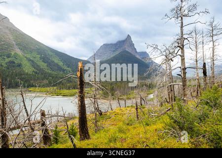 Il Saint Mary Falls Trail viene catturato mentre si snoda lungo il panoramico lago Saint Mary nel Glacier National Park Foto Stock