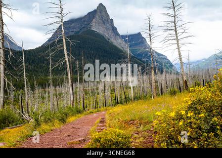 Il Saint Mary Falls Trail viene catturato mentre si snoda lungo il panoramico lago Saint Mary nel Glacier National Park Foto Stock