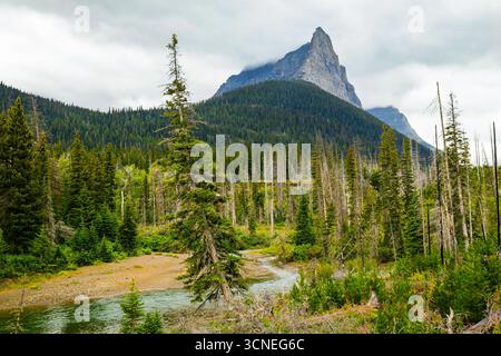 Il Saint Mary Falls Trail viene catturato mentre si snoda lungo il panoramico lago Saint Mary nel Glacier National Park Foto Stock