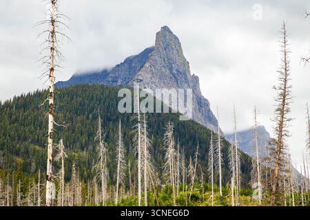 Il Saint Mary Falls Trail viene catturato mentre si snoda lungo il panoramico lago Saint Mary nel Glacier National Park Foto Stock