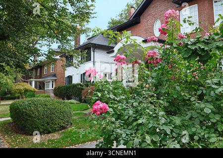 Strada residenziale con case in mattoni a due piani e cespuglio di rose nel giardino frontale Foto Stock