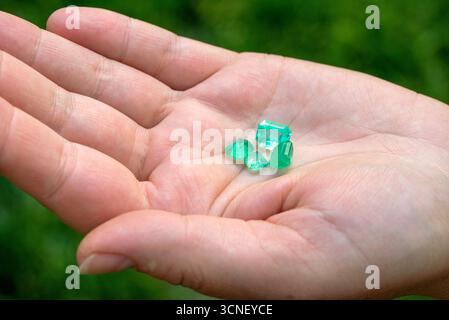 Una mano che tiene una manciata di pietre preziose verdi. Le pietre preziose sono piccole e lucenti, e sono tutte dello stesso colore Foto Stock