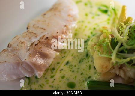 filetto di pesce bianco all'ippoglosso grigliato servito con salsa bianca alle erbe e insalata di verdure Foto Stock
