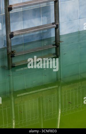 Piscina abbandonata con acqua verde torbida Foto Stock
