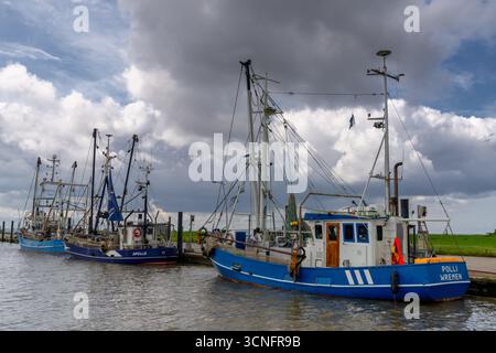 Dorum-Neufeld, Germania - 27 giugno 2025: Pescherecci a strascico colorati nel porto di Wremen sulla costa tedesca del Mar di Wadden Foto Stock