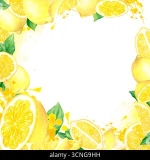 Cornice quadrata ad acquerello con succose illustrazioni disegnate a mano di agrumi: Limoni, metà e fette, foglie, ecc. isolata su sfondo bianco. Vestito Foto Stock
