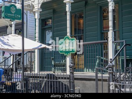 New Orleans, LOUISIANA, USA - 11 settembre 2025: Front Porch of Current Crop Roasting Shop, un'azienda di torrefazione del caffè, nella parte alta di New Orleans Foto Stock