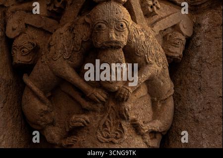 Due leoni che condividono un solo volto divorano un uomo dai capelli verso il basso: XII secolo d.C. capitale scolpita nel portale d'ingresso dell'ospedale monastico benedettino o dell'ospizio di San Giuliano Ospitaliero, costruito a Besalú, antica città catalana nella provincia di Girona, Spagna, per offrire alloggio e cibo ai pellegrini che seguono il cammino di Santiago o la via di San Giacomo a Santiago di Compostela in Galizia. Foto Stock