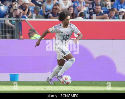 Sinsheim, Germania. 20 settembre 2025. 20/09/2025, PreZero Arena, Sinsheim, GER, 1.FBL, TSG Hoffenheim vs FC Bayern Monaco, nella foto Serge Gnabry (Monaco) le normative DFL vietano qualsiasi uso di fotografie come sequenze di immagini e/o quasi-video. Credito: dpa/Alamy Live News Foto Stock