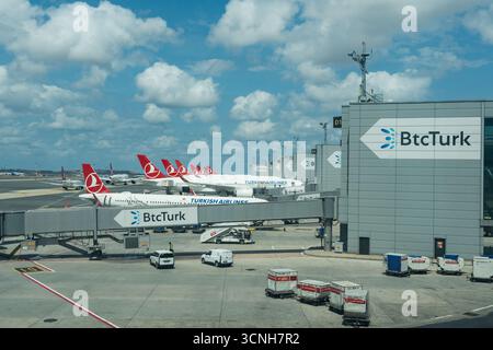 Gli aerei Airbus di Turkish Airlines parcheggiavano in un aeroporto della città di Istanbul, Turchia, durante il giorno con nuvole nel cielo Foto Stock