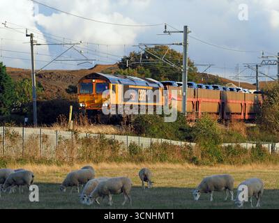 DB Cargo Class 66 66775 F231 HMS Argyll trasporta un treno per auto attraverso il Northamptonshire, settembre 2025 Foto Stock