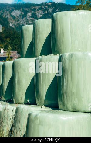 Grandi balle di insilato verdi disposte ordinatamente lungo un'area rurale, con montagne che si innalzano dietro i fienili. Messa a fuoco selettiva. Foto Stock