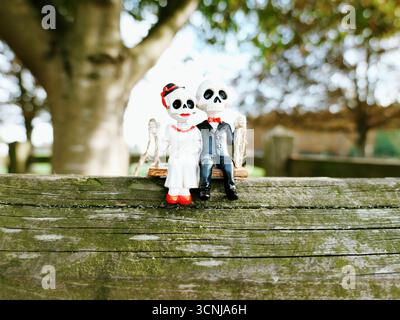 Giocattolo di coppia con scheletro halloween Foto Stock