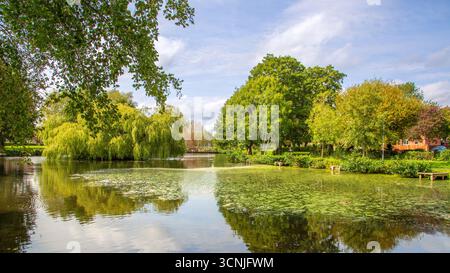 Vivace area boschiva con laghetto per la pesca a Redditch, Regno Unito. Foto Stock