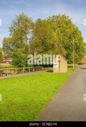 Vivace area boschiva con laghetto per la pesca a Redditch, Regno Unito. Foto Stock