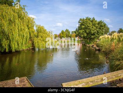 Vivace area boschiva con laghetto per la pesca a Redditch, Regno Unito. Foto Stock