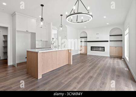 Grande cucina aperta con un'isola di legno e un caminetto. La cucina è pulita e ben illuminata, con un grande lampadario appeso sopra l'isola. Il livi Foto Stock