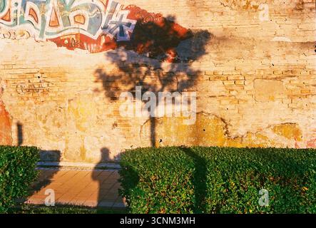 Fotografia analogica di un muro in decadenza con ombre di alberi che lo attraversano al tramonto. Luce calda e nostalgica e texture creano un'atmosfera tranquilla ed emotiva Foto Stock