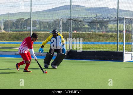 Diversi concorrenti maschili che dribbling ball utilizzando il bastone da hockey nero su erba verde, copia spazio Foto Stock