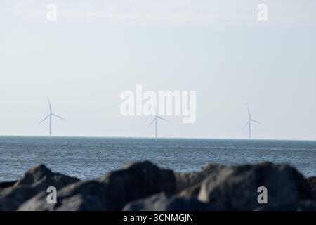 Mulini a vento oceanici nel mare in fila con rocce sulla spiaggia di fronte a una giornata di sole, energia oceanica verde, energia eolica oceanica Foto Stock