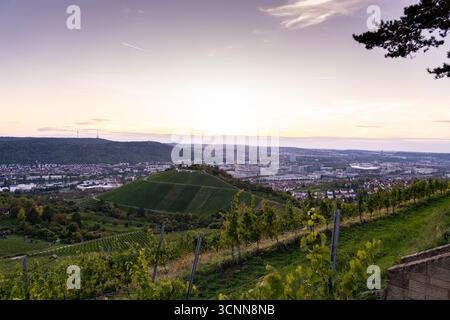 Tramonto sui vigneti e sul paesaggio urbano di Stoccarda dalla collina di Württemberg Foto Stock