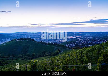 Crepuscolo sui vigneti e sulla MHP Arena di Stoccarda, Germania Foto Stock