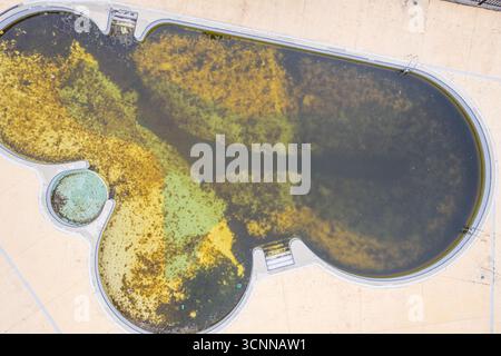 Piscina sporca con alghe il concetto di abbandono e declino Foto Stock