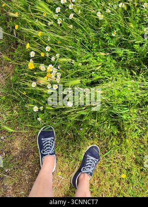 Piedi che indossano sneakers sull'erba. Foto Stock