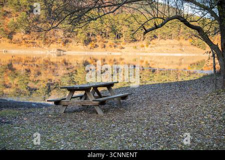 Tavolo da picnic con panchine in riva al lago in autunno. Tavolo da picnic in legno rustico all'aperto con vista sul lago Foto Stock