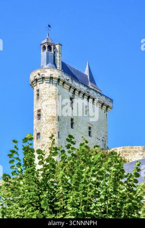 La tour de l'Horloge (Torre dell'Orologio) del XIV secolo presso il Castello reale di Chinon, Indre-et-Loire (37), Francia. Foto Stock