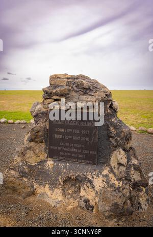 Tomba di rinoceronte nero maschio Muigo a Ol Pejeta Conservancy. Altopiano di Laikipia, Kenya, Africa, cimitero dei rinoceronti, lapidi di rinoceronte che indicano dove sono morti gli animali Foto Stock