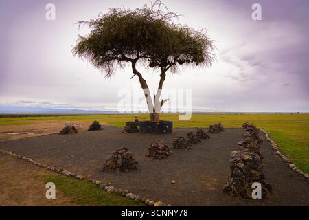 Ol Pejeta Conservancy. Laikipia Plateau, Kenya, Foto Stock