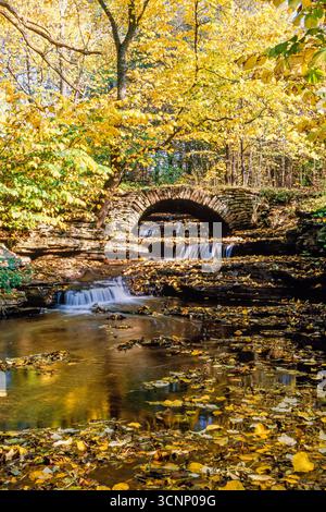 Vecchio ponte ad arco in un bosco con un ruscello e splendidi colori autunnali Foto Stock