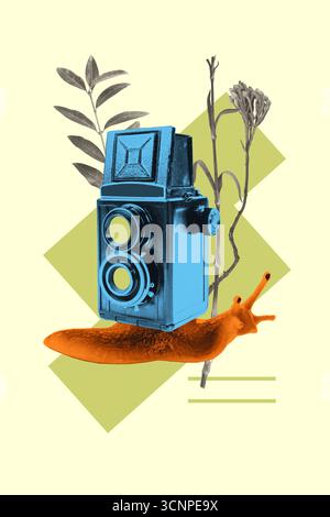 Collage modello poster tendenza grafica schizzo di scatto catturare hobby autore fotografia fotocamera lumaca animale natura selvaggia foglie di piante fiore Foto Stock