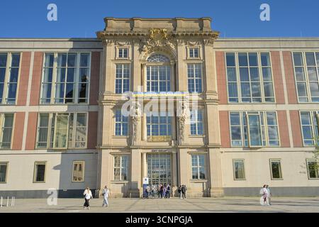 ESMT, Staatsratsgebäude, Schloßplatz, Mitte, Berlino, Deutschland *** ESMT, edificio del Consiglio di Stato, Schloßplatz, Mitte, Berlino, Germania Foto Stock