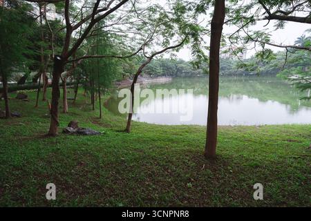 Serene Park Lake circondato da alberi e vegetazione - West Lake a Huizhou, provincia del Guangdong, Cina, è un'attrazione turistica caratterizzata da un'architettura antica Foto Stock