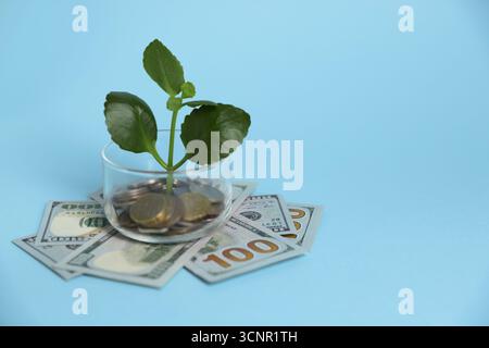 Vaso in vetro con germogli, dollari e monete su sfondo azzurro, spazio per testo Foto Stock