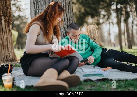 Giovane coppia che studia all'aperto insieme in un parco in una giornata di sole Foto Stock