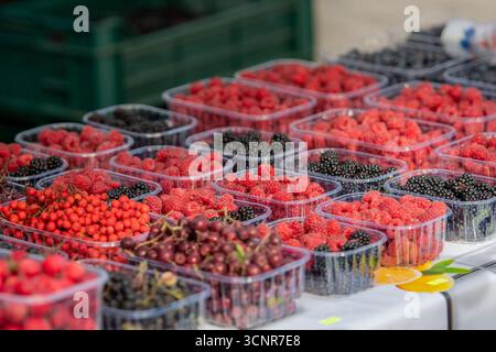 Assortimento di frutti di bosco freschi in contenitori di plastica presso una bancarella. Lamponi, more e ribes in esposizione, simboleggianti l’agricoltura biologica, Foto Stock