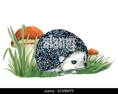 Illustrazione ad acquerello di ricci e funghi nell'erba. Illustrazione autunnale del prato della foresta. Funghi porcini autunnali e ricci nella foresta. N Foto Stock