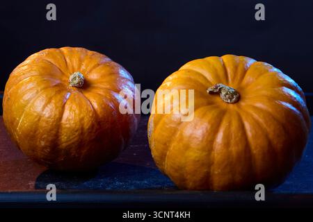 Foto in studio di due zucche su sfondo nero. Allestimento stagionale di STILL Life per tema Halloween con atmosfera autunnale. Foto Stock