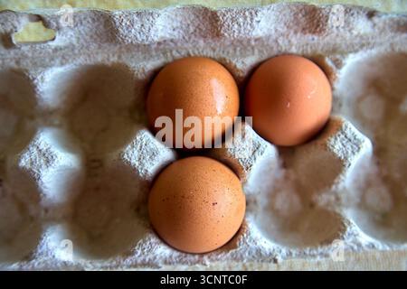 Un mix perfetto di uova marroni e macchiate, direttamente dalla fattoria. Ogni uovo è un piccolo lavoro della natura, ricco di freschezza e sapore ricco. Se Foto Stock