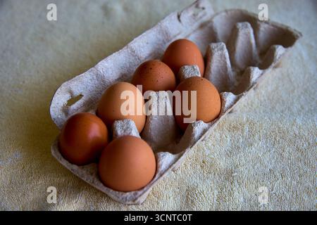 Un mix perfetto di uova marroni e macchiate, direttamente dalla fattoria. Ogni uovo è un piccolo lavoro della natura, ricco di freschezza e sapore ricco. Se Foto Stock