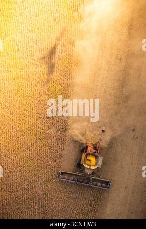 Una mietitrebbia Case IH raccoglie fagioli in un pomeriggio dorato polveroso di settembre. Una sottile ombra nuvola è visibile a sinistra della pesante traccia di polvere, pula. Foto Stock